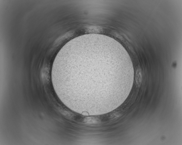 X0000116880714201002021148