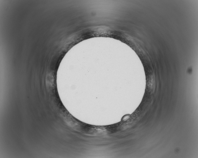X0000116880715201002021148