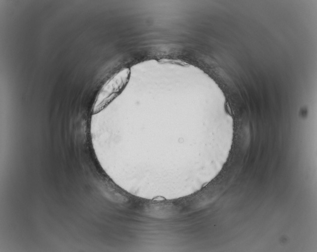 X0000116880716201002021148