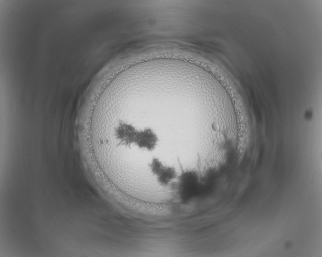 X0000116880717201002021148