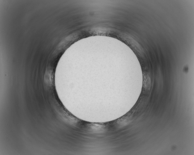 X0000116880718201002021148