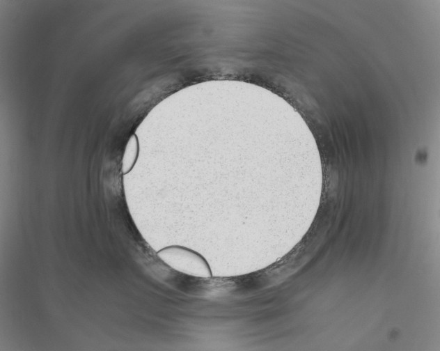 X0000116880719201002021148