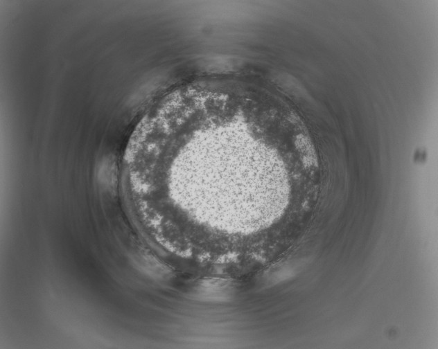 X0000116880720201002021148