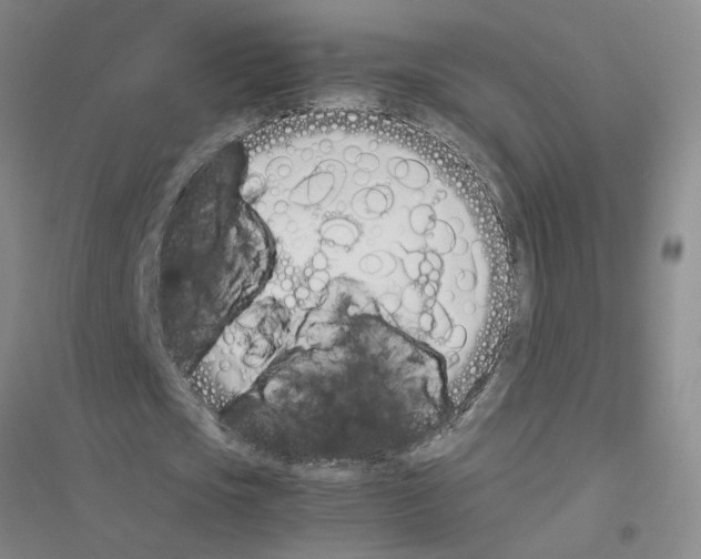 X0000116880721201002021147