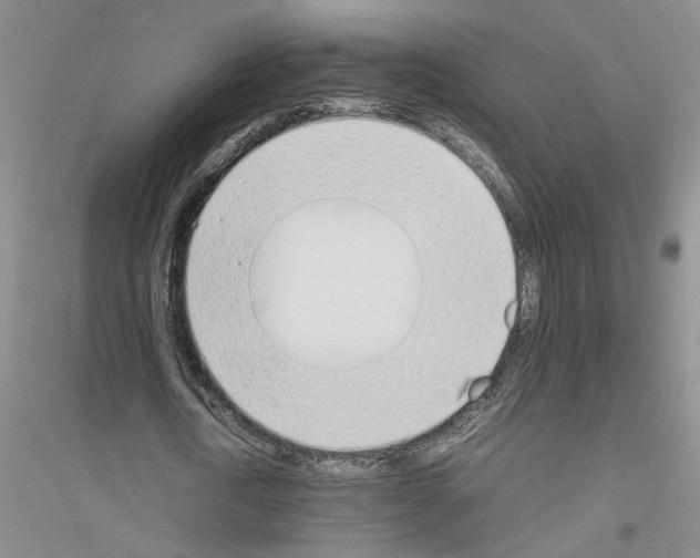 X0000116880722201002021147