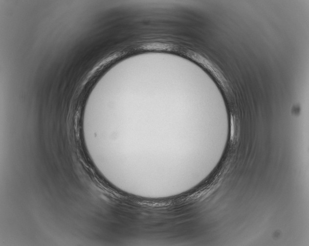 X0000116880723201002021147
