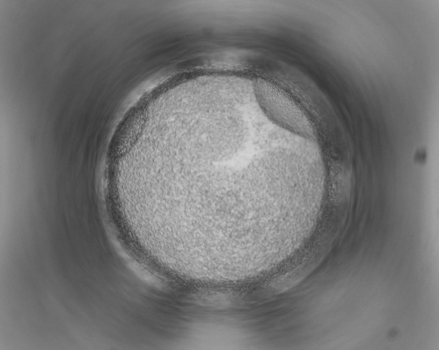 X0000116880726201002021147