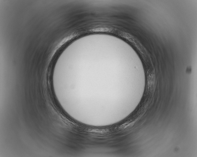 X0000116880727201002021147
