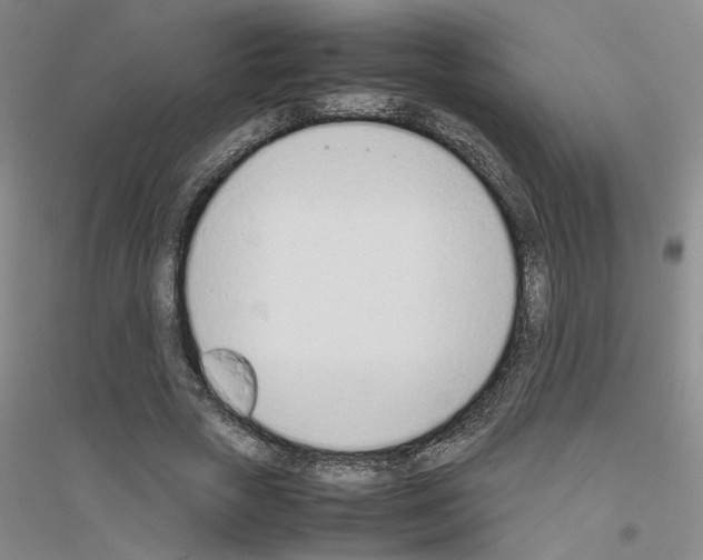 X0000116880729201002021147