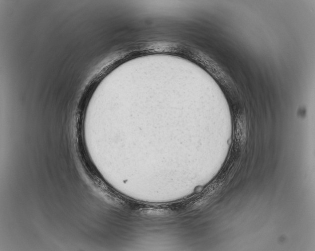 X0000116880730201002021147