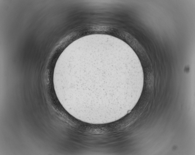 X0000116880731201002021147