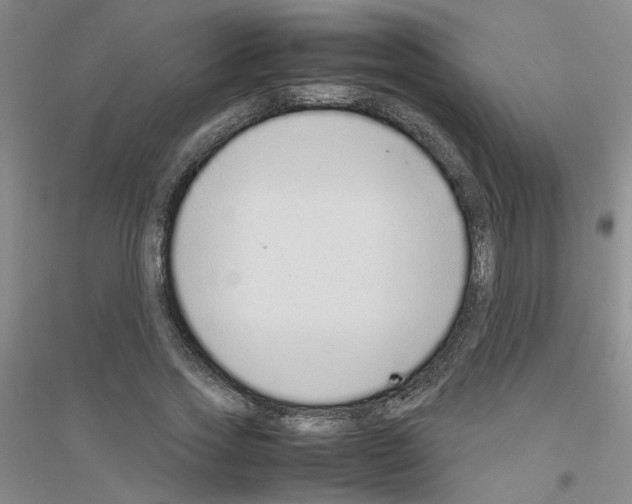 X0000116880733201002021147