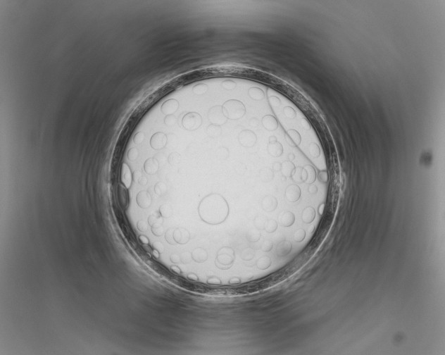 X0000116880734201002021148