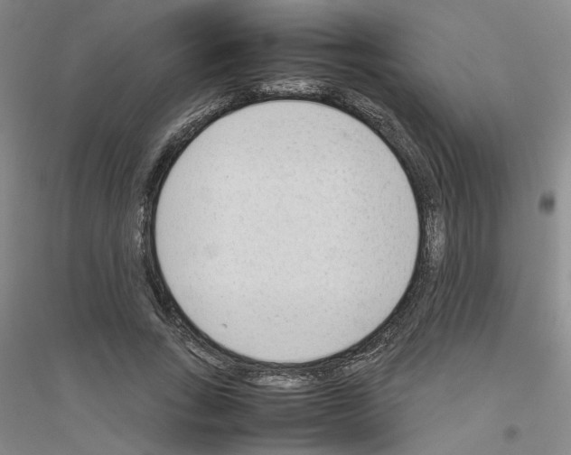 X0000116880735201002021148