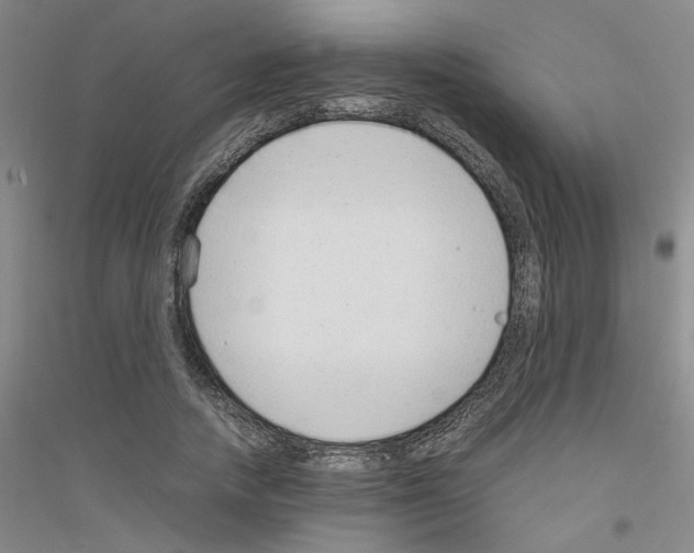 X0000116880738201002021148