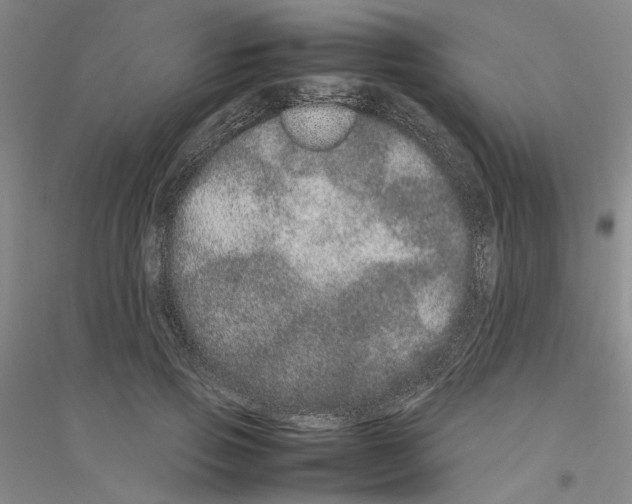 X0000116880741201002021148