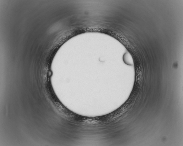 X0000116880742201002021148