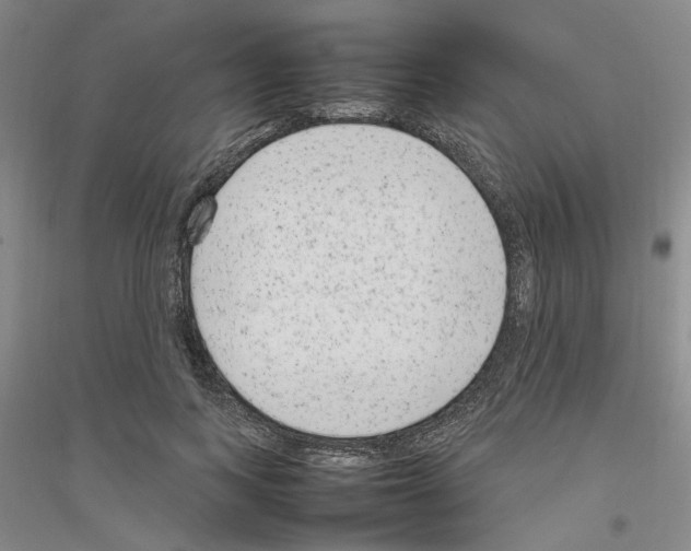 X0000116880743201002021148