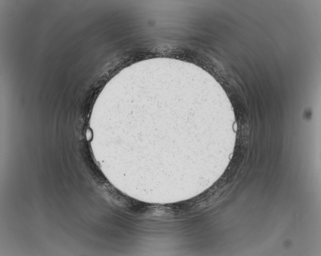 X0000116880750201002021148