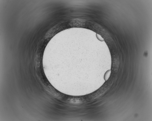 X0000116880751201002021148
