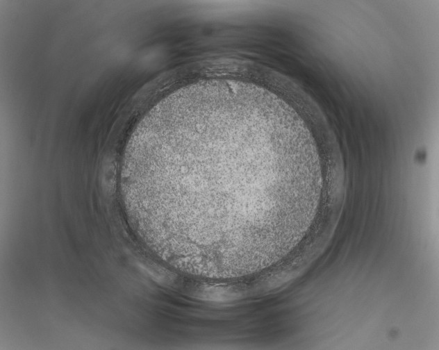 X0000116880753201002021148