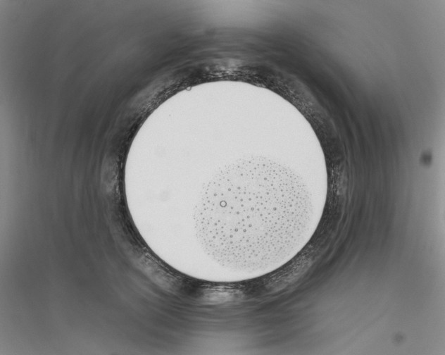 X0000116880754201002021148