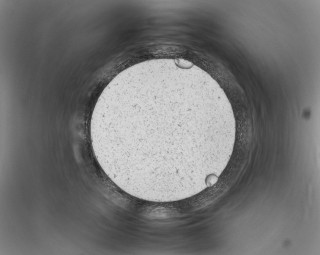 X0000116880755201002021148