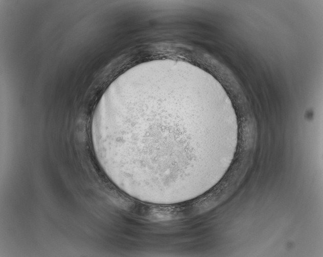 X0000116880757201002021148