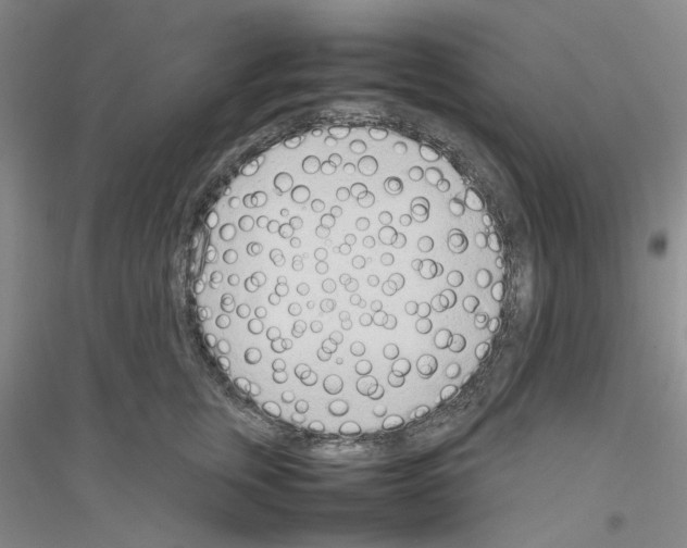 X0000116880759201002021148