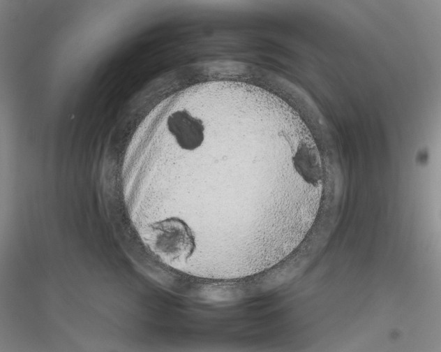 X0000116880761201002021148