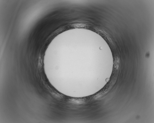 X0000116880763201002021148