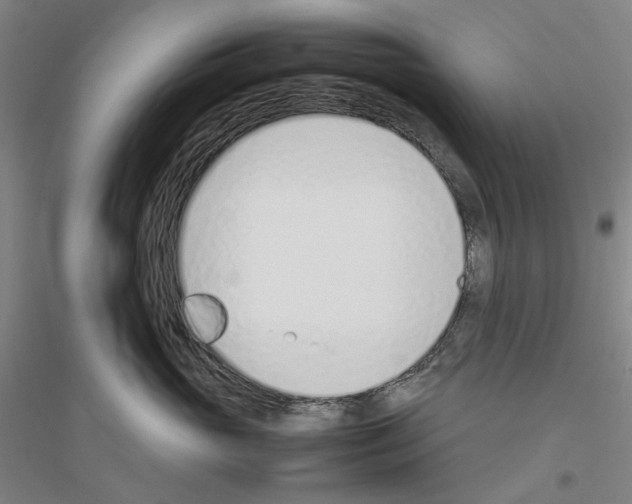 X0000116880765201002021148