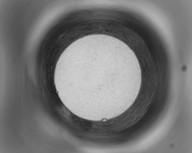 X0000116880766201002021148