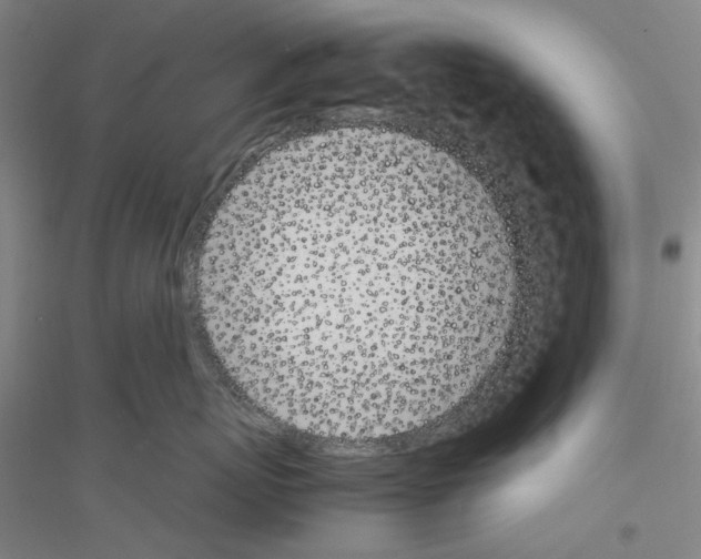 X0000116880767201002021148