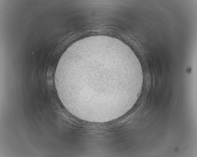 X0000116880770201002021147