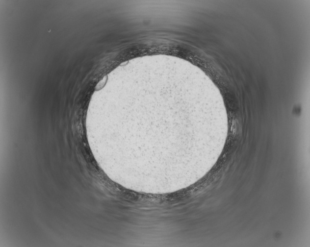 X0000116880771201002021147