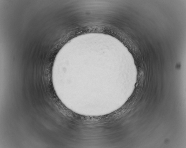 X0000116880772201002021147