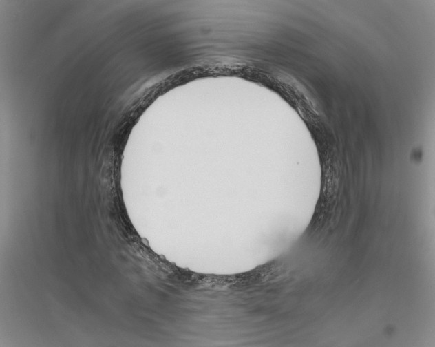 X0000116880773201002021147