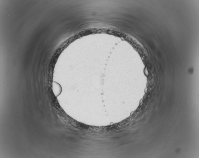 X0000116880775201002021147