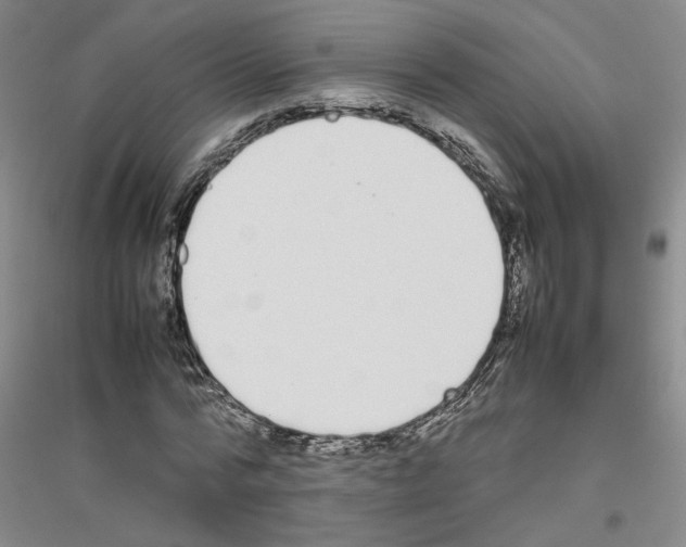 X0000116880776201002021147