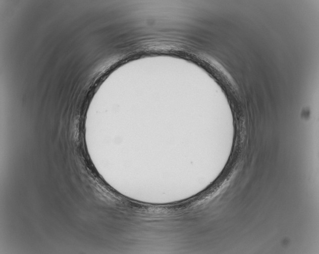 X0000116880777201002021147