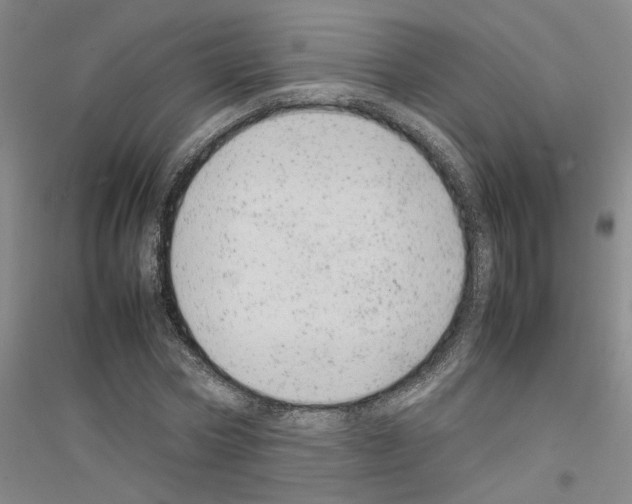 X0000116880778201002021147