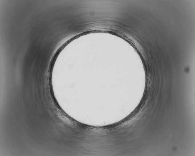 X0000116880779201002021147