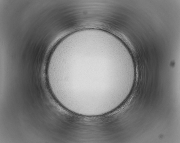 X0000116880780201002021147