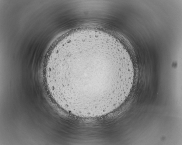 X0000116880784201002021147