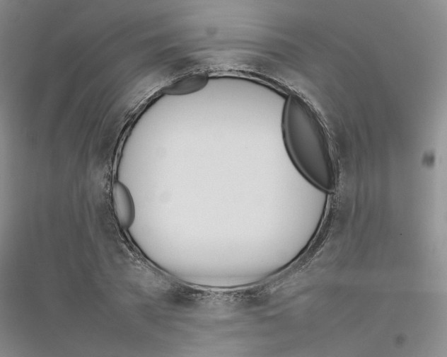 X0000116880785201002021147