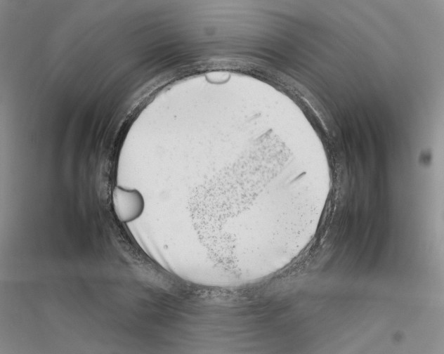 X0000116880786201002021147