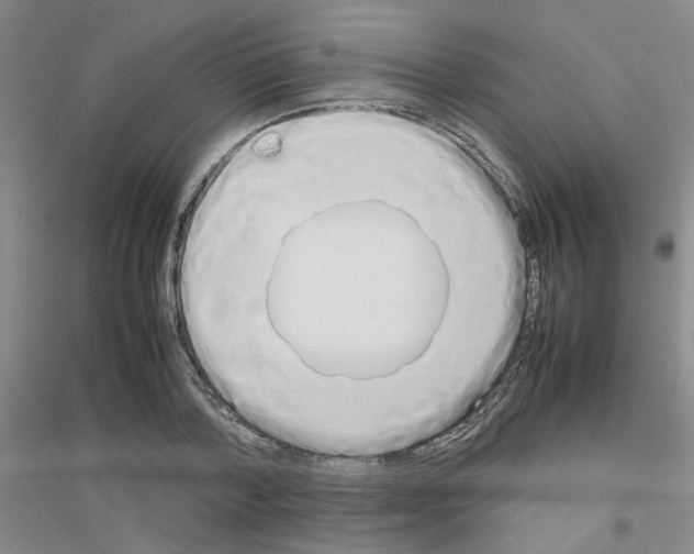 X0000116880788201002021147