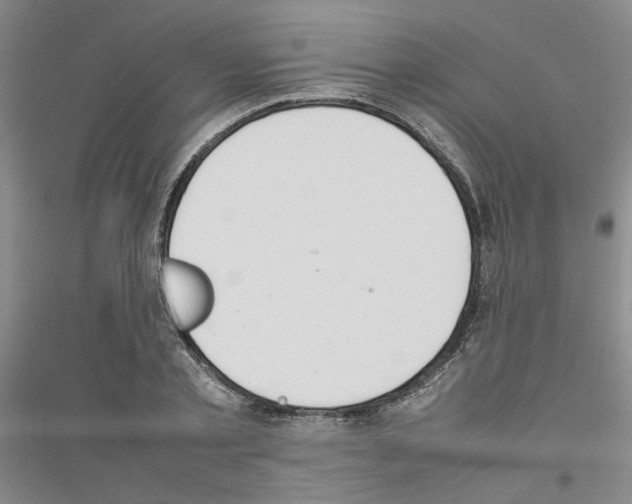 X0000116880789201002021147