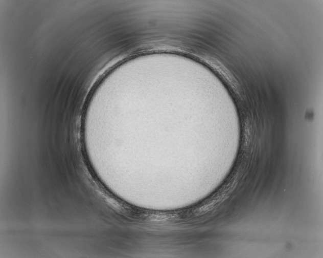 X0000116880790201002021147
